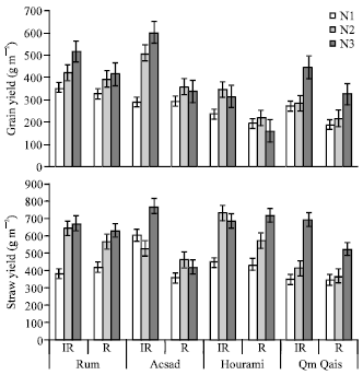 Image for - Variation in Root Water and Nitrogen Uptake and their Interactive Effects on Growth and Yield of Spring Wheat and Barley Genotypes