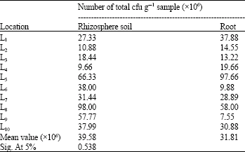 Image for - Quantification of Heterotrophic Bacteria and Azospirillum from the Rhizosphere of Taro (Colocasia esculenta L. Schott.) and the Nitrogen Fixing Potential of Isolated Azospirillum
