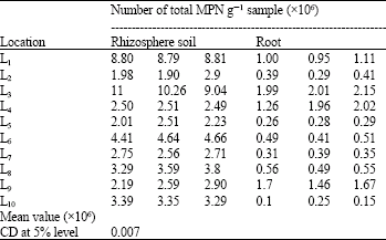 Image for - Quantification of Heterotrophic Bacteria and Azospirillum from the Rhizosphere of Taro (Colocasia esculenta L. Schott.) and the Nitrogen Fixing Potential of Isolated Azospirillum