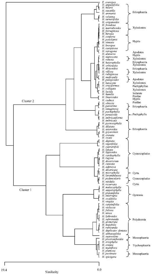 Multivariate Analysis of Vegetative and Reproductive Morphological ...