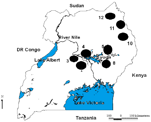 Image for - Genetic Diversity and Structure of Acacia senegal (L.) Willd. in Uganda