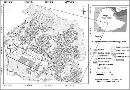 Soil Seed Bank And Seedlings Bank Composition And Diversity Of Wondo ...