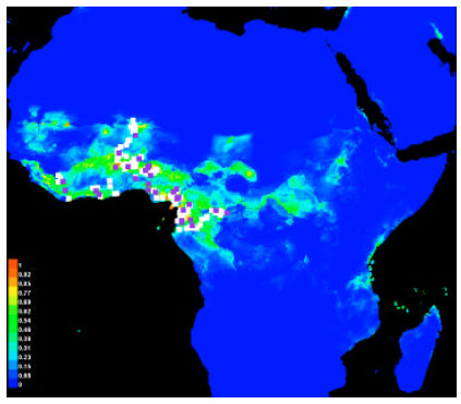 Image for - Species Distribution Modelling of Family Sapindaceae in West Africa