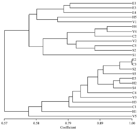 Image for - Assessment of Genetic Interspecies Relationships among Five Selected Amaranthus Species Using Phenotypic and RAPD Markers