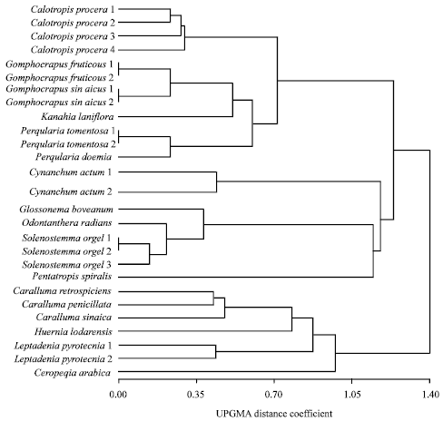 Image for - Taxonomic Relationships of Some Taxa of Subfamily Asclepiadoideae (Apocynaceae) as Reflected by Morphological Variations and Polymorphism in Seed Protein and RAPD Electrophoretic Profile