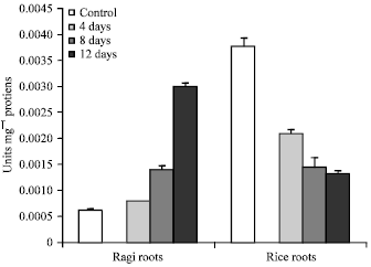 Image for - Study of Some Aspects of Anaerobic Metabolism in Roots of Finger Millet and Rice Plants Subjected to Waterlogging Stress