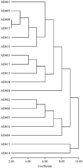 Image for - Phylogenetic and Genomic Relationships Among Melon Populations based on RAPD