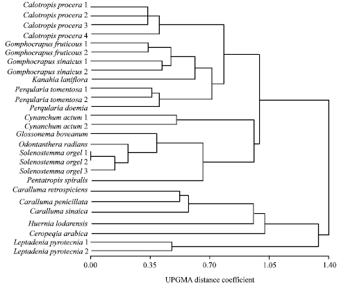 Image for - Taxonomic Relationships of Some Taxa of Subfamily Asclepiadoideae (Apocynaceae) as Reflected by Morphological Variations and Polymorphism in Seed Protein and RAPD Electrophoretic Profile