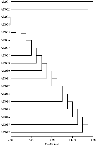 Image for - Phylogenetic and Genomic Relationships Among Melon Populations based on RAPD