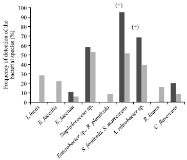 Image for - Farm Management Practices and Diversity of the Dominant Bacterial Species in Raw Goat