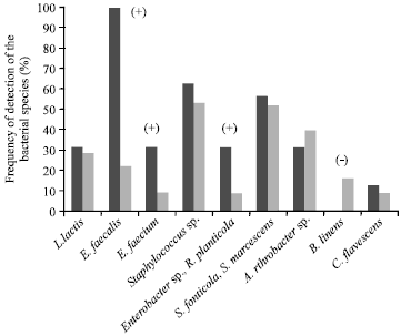 Image for - Farm Management Practices and Diversity of the Dominant Bacterial Species in Raw Goat
