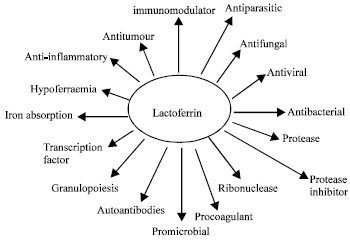 Image for - Lactoferrin in Relation to Biological Functions and Applications: A Review