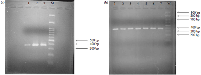 Image for - Polymorphisms in Genes Encoding Kappa Casein Milk Protein in Dairy Cattle
