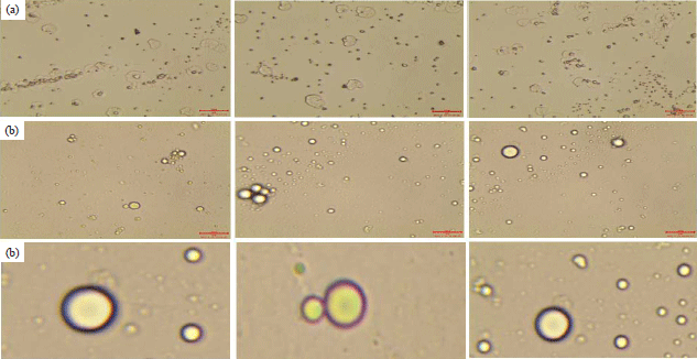Image for - Effect of Cumin Essential Oil (Cuminum cyminum L.) on Milk Fat Globule Membrane Stability and Micro Structure Properties After Heat Treatment