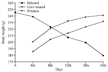 Image for - Potentox Reduces Biochemical and Inflammatory Response in Osteomyelitis Infection