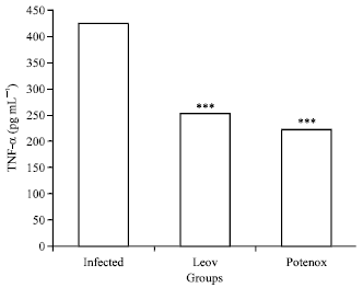 Image for - Potentox Reduces Biochemical and Inflammatory Response in Osteomyelitis Infection