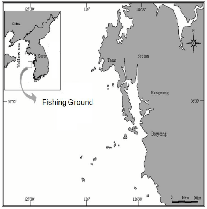 Image for - Population Dynamics of the Swimming Crab Portunus trituberculatus (Miers, 1876) (Brachyura, Portunidae) from the West Sea of Korea