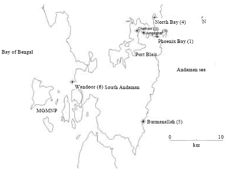 Image for - Species Composition, Abundance and Distribution of Phytoplankton in the Harbour Areas and Coastal Waters of Port Blair, South Andaman