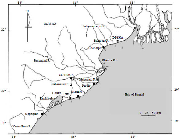 Image for - Summer Distribution of Zooplankton in Coastal Waters of Odisha, East Coast of India