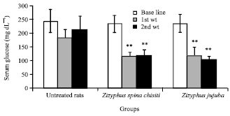 Image for - Antihyperglycemic, Antihyperlipidemic and Antioxidant Effects of Zizyphus spina christi and Zizyphus jujuba in Alloxan Diabetic Rats