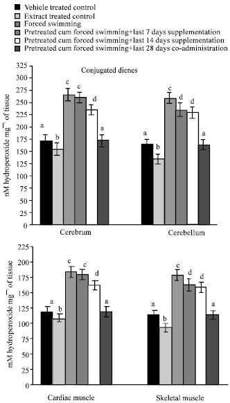 Image for - Protective Response of Methanolic Extract of Ocimum sanctum,Withania somnifera and Zingiber officinalis on Swimming-Induced Oxidative Damage on Cardiac, Skeletal and Brain Tissues in Male Rat: a Duration Dependent Study