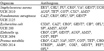 Image for - Antibacterial and Gastroprotective Properties of Eucalyptus torelliana [Myrtaceae] Crude Extracts