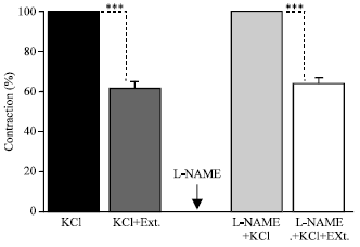 Image for - Antispasmodic Effect of Anethum graveolens Fruit Extract on Rat Ileum