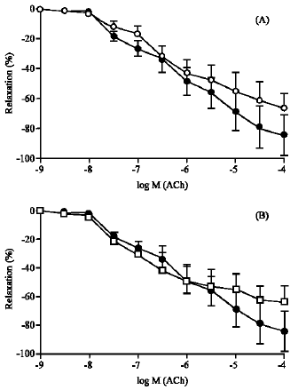 Image for - Lack of Effect of Atorvastatin or Pravastatin on the Endothelium-Dependent Relaxation in Segments of Human Vessels