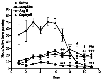 Image for - Effects of Angiotensin II and Captopril on Morphine Self-Administration and Withdrawal Signs in Rats