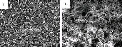 Image for - Effect of Milling on Solid State Transformation of Sulfamethoxazole