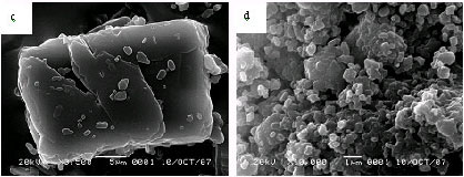 Image for - Effect of Milling on Solid State Transformation of Sulfamethoxazole