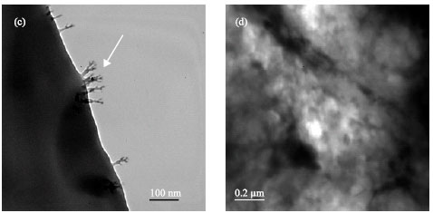 Image for - Spermicidal Action of Styrene Maleic Anhydride Polyelectrolyte in Combination with Magnetic and Electrically Conductive Particles