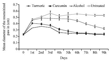 Image for - Comparison of Efficacy of Turmeric and Commercial Curcumin in Immunological Functions and Gene Regulation