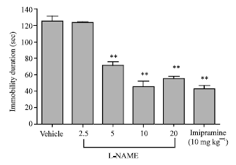 Image for - Antidepressant like Effect of N(G)-Nitro-L-Arginine Methyl Ester