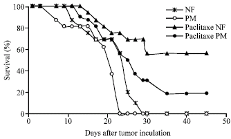 Image for - Protein Undernutrition in Tumor-Bearing Mice, Response and Toxicity to Paclitaxel