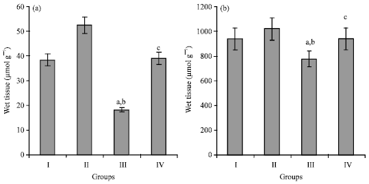 Image for - Protective Effect of Squalene on Certain Lysosomal Hydrolases and Free Amino  Acids in Isoprenaline-Induced Myocardial Infarction in Rats