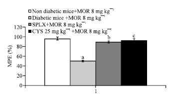 Image for - Beneficial Effect of Cyclosporine in Experimental Diabetes Induced Neuropathic Pain in Rats