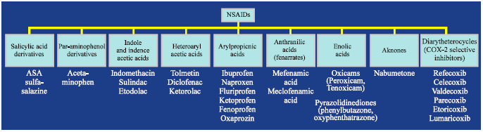 Image for - Therapeutic and Toxic Effects of New NSAIDs and Related Compounds: A Review and Prospective Study