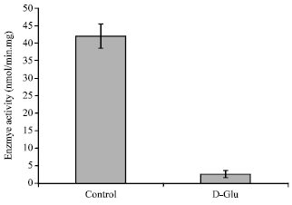 Image for - Hypoglycemic Effects of D-glutamic Acid in Diabetic Rats