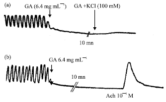 Image for - Myorelaxant and Spasmolytic Effects of Globularia alypum L. Extract on Rabbit Jejunum