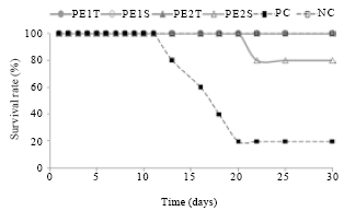 Image for - Influence of Pleurotus djamor Bioactive Substances on the Survival Time of Mice Inoculated with Sarcoma 180