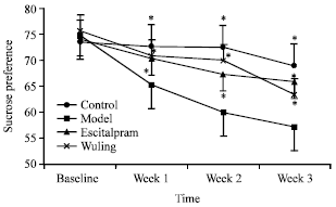 Image for - Effects of Wuling Capsule on Hippocampaldependent Cognitive Changes in Post-stroke Depression Rats