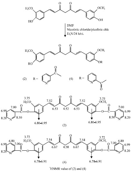 Image for - Antibacterial Activities of Curcumin Bioconjugates