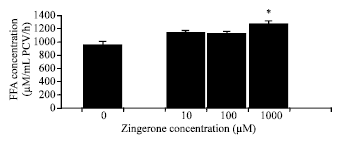 Image for - Lipolytic Effects of Zingerone in Adipocytes Isolated from Normal Diet-Fed Rats and High Fat Diet-Fed Rats