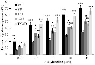 Image for - Exercise Training and Grape Seed Extract Co-administration Improve Endothelial Dysfunction of Mesenteric Vascular Bed in STZ-induced Diabetic Rats
