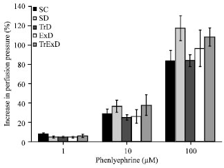Image for - Exercise Training and Grape Seed Extract Co-administration Improve Endothelial Dysfunction of Mesenteric Vascular Bed in STZ-induced Diabetic Rats