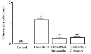 Image for - Effects of Curcurma comosa Roxb. on Platelet Aggregation and Atherosclerotic Plaque Development in Hypercholesterolemic Rabbits