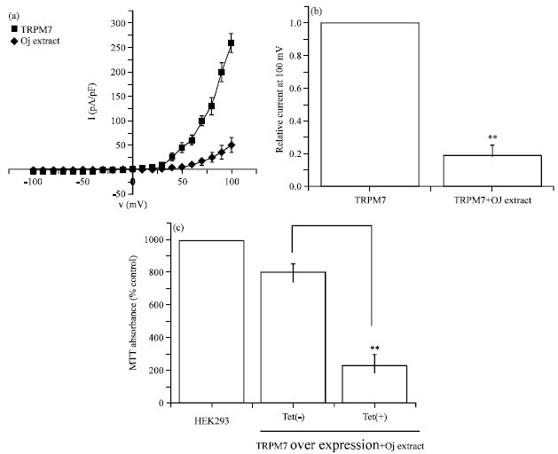 Image for - Involvement of Transient Receptor Potential Melastatin 7 Channels in Orostachys japonicus-induced Apoptosis in Cancer Cells