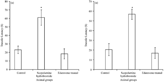 Image for - Effects of Edaravone on Scopolamine Induced-dementia in Experimental Rats