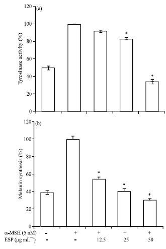Image for - Inhibitory Effect of Sargassum patens on Inflammation and Melanogenesis